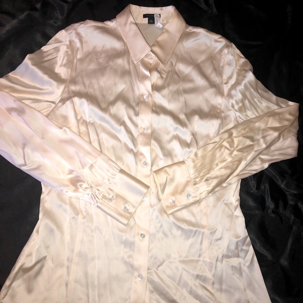 Ann Taylor Silk Button Up